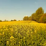 Nad Jeziorem Walpusz *