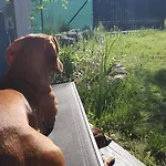 Nad Jeziorem Walpusz 度假居 Stare Kiejkuty