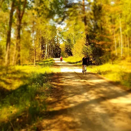 Domek Nad Jeziorem Walpusz Holiday home *